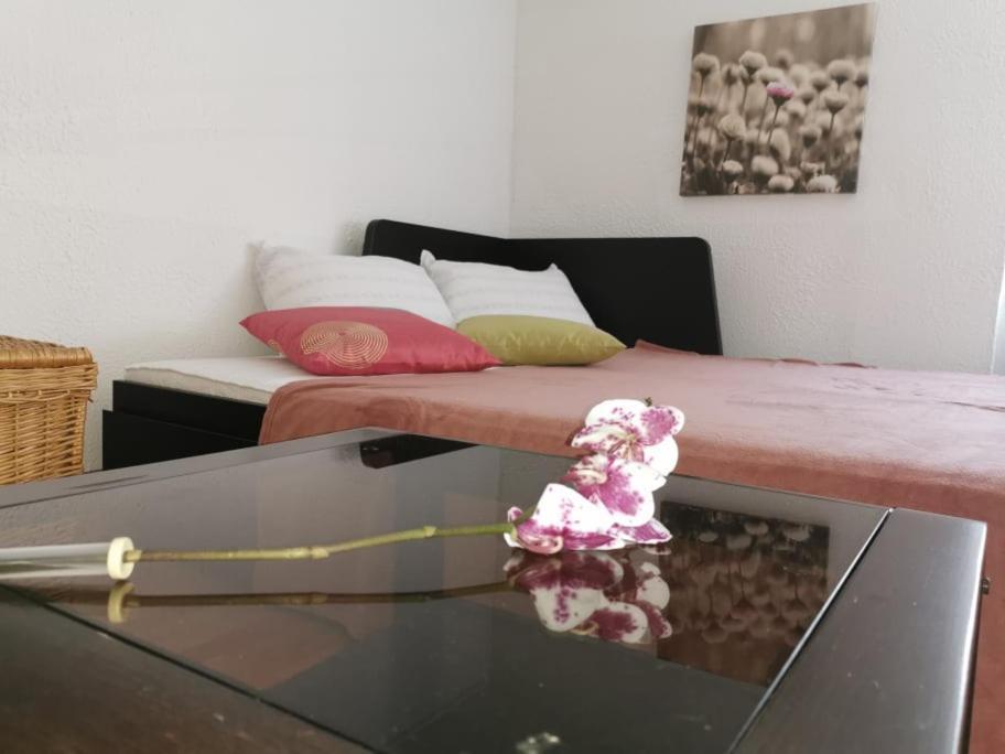 Apartma Lindau Lendava Ngoại thất bức ảnh